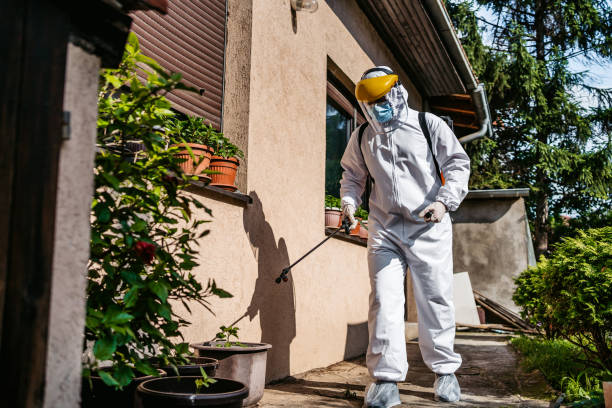 Best Wasp Removal Services  in Columbus Grove, OH