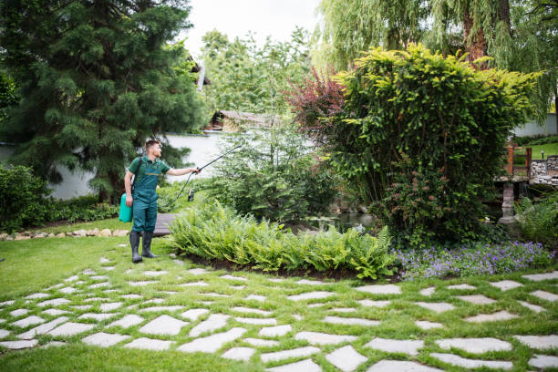 Best Affordable Pest Control Services  in Columbus Grove, OH