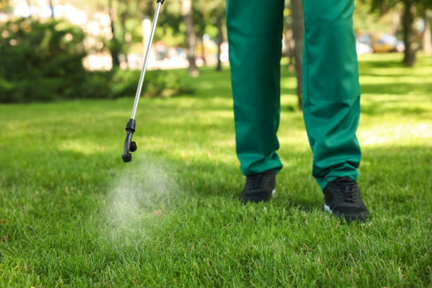 Best Termite Control Services  in Columbus Grove, OH