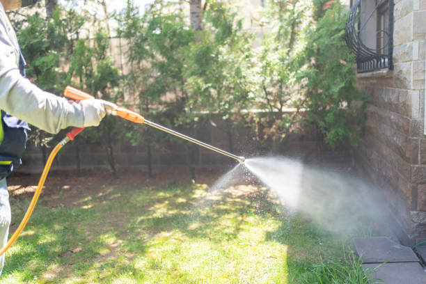 Best Best Pest Control Companies  in Columbus Grove, OH