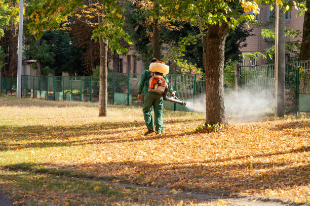 Best Flea Control Services  in Columbus Grove, OH