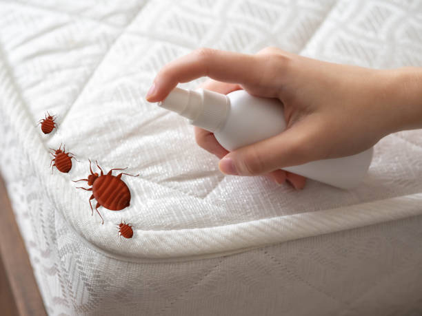 Best Cockroach Control Services  in Columbus Grove, OH