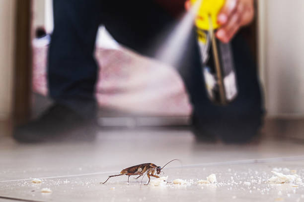 Best Residential Pest Control  in Columbus Grove, OH